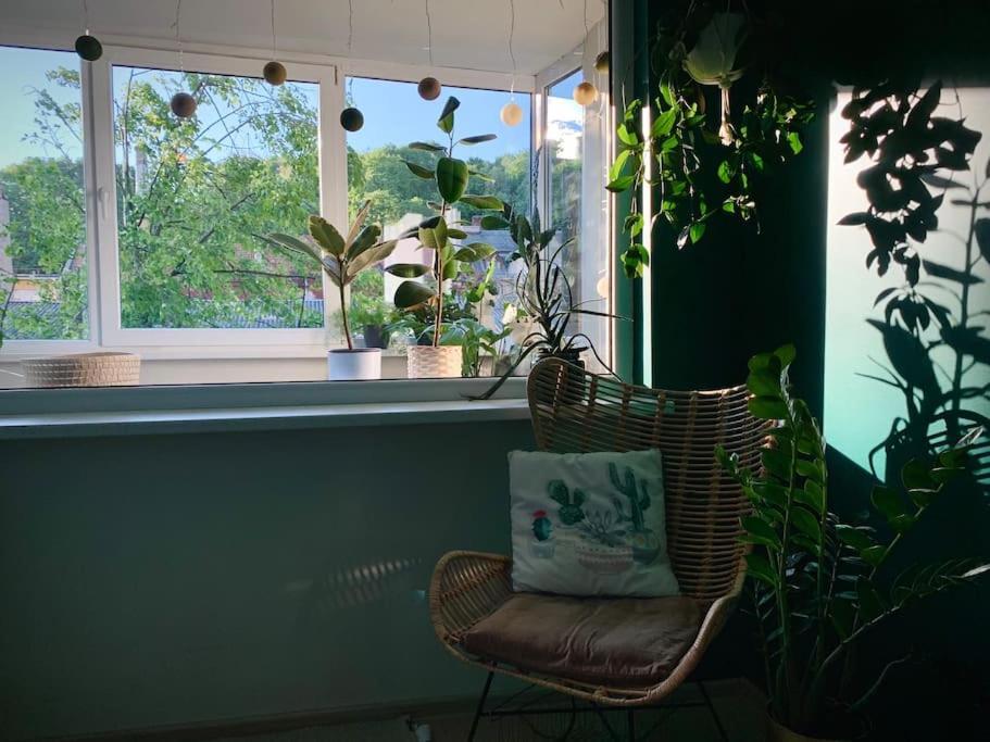 Three Bedroom With Two Terraces For 7People+Baby 카우나스 외부 사진
