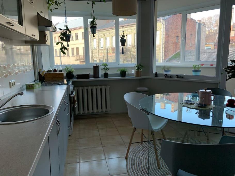 Three Bedroom With Two Terraces For 7People+Baby 카우나스 외부 사진